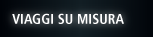 Viaggi su misura